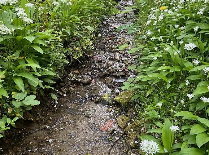 Jade, Au Coeur De La Apartment *